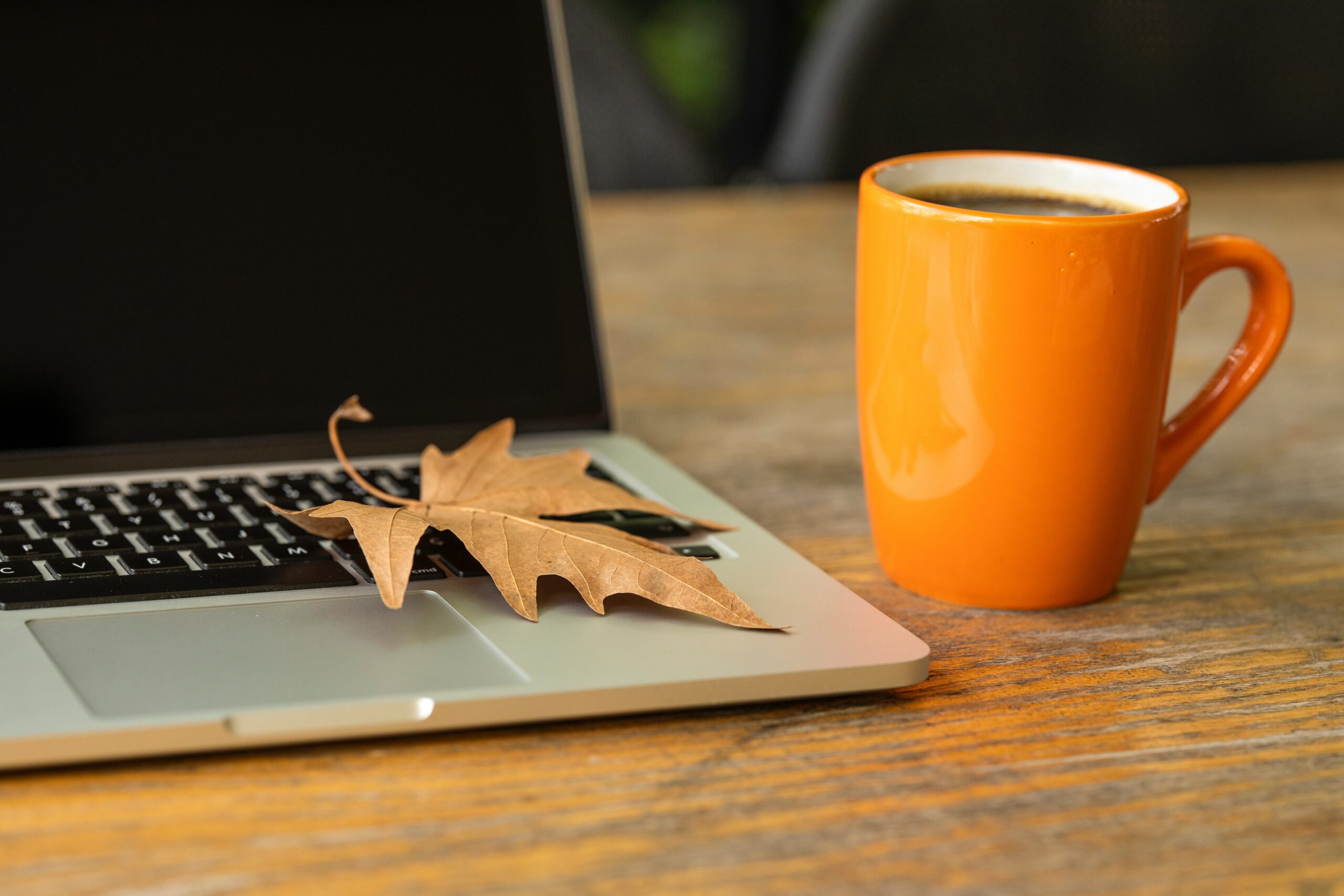 laptop computer, autumn leaf and orange mug