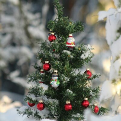 tiny Christmas tree with ornaments in the snow
